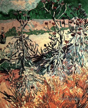  Vincent Galerie - Chardons Vincent van Gogh